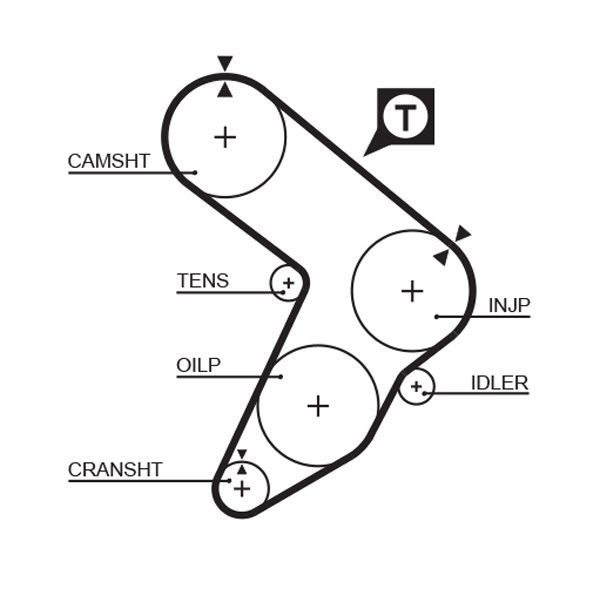 Timing Belt - 5087 GATES