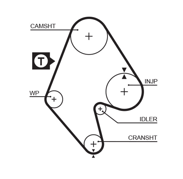 Timing Belt - 5129 GATES