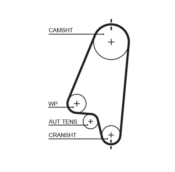 Cinghia dentata - 5310XS GATES
