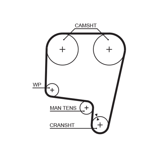 Timing Belt - 5340 GATES