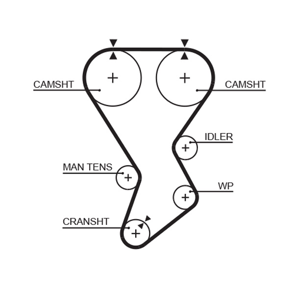 Timing Belt - 5351XS GATES