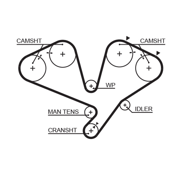 Timing Belt - 5442XS GATES
