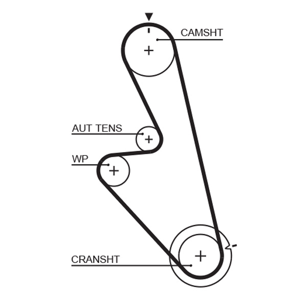 Timing Belt - 5449 GATES