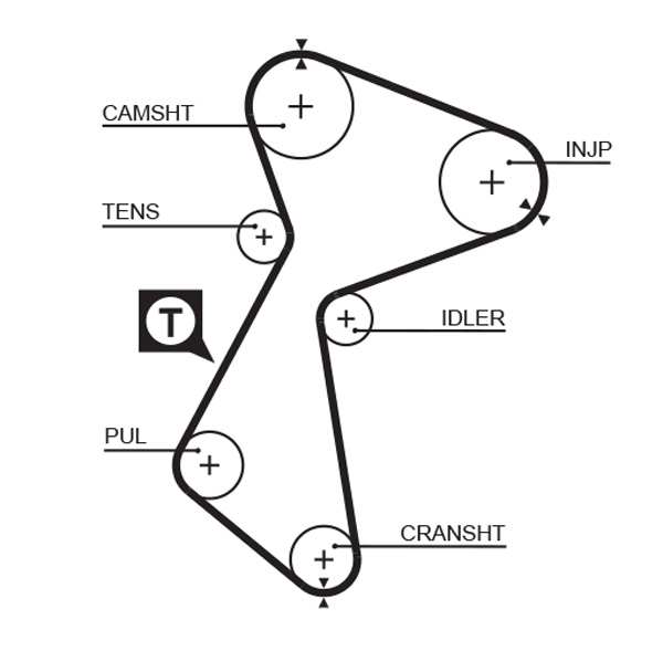 Timing Belt - 5485 GATES