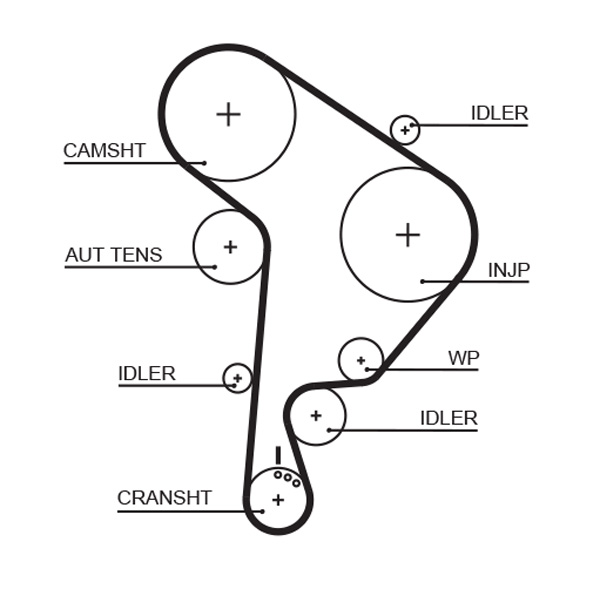 Timing Belt - 5559XS GATES