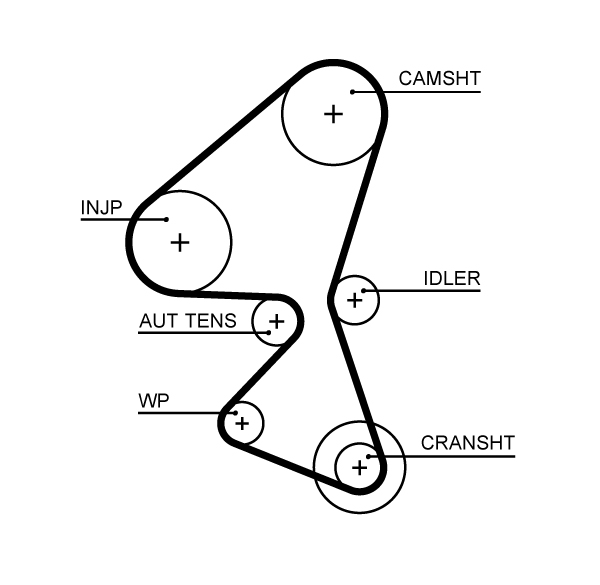 Timing Belt - 5656XS GATES