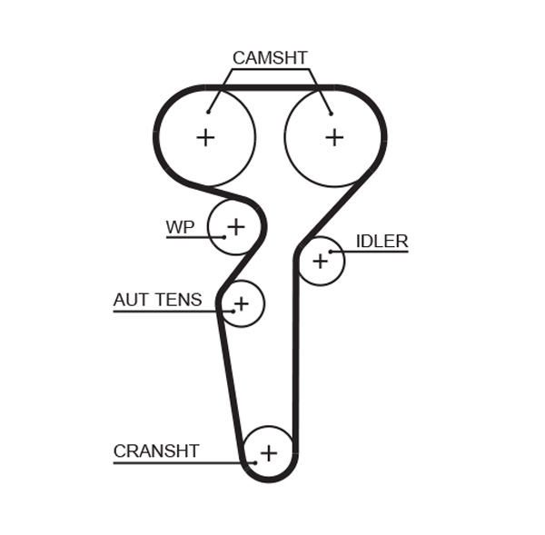 Timing Belt - 5685XS GATES