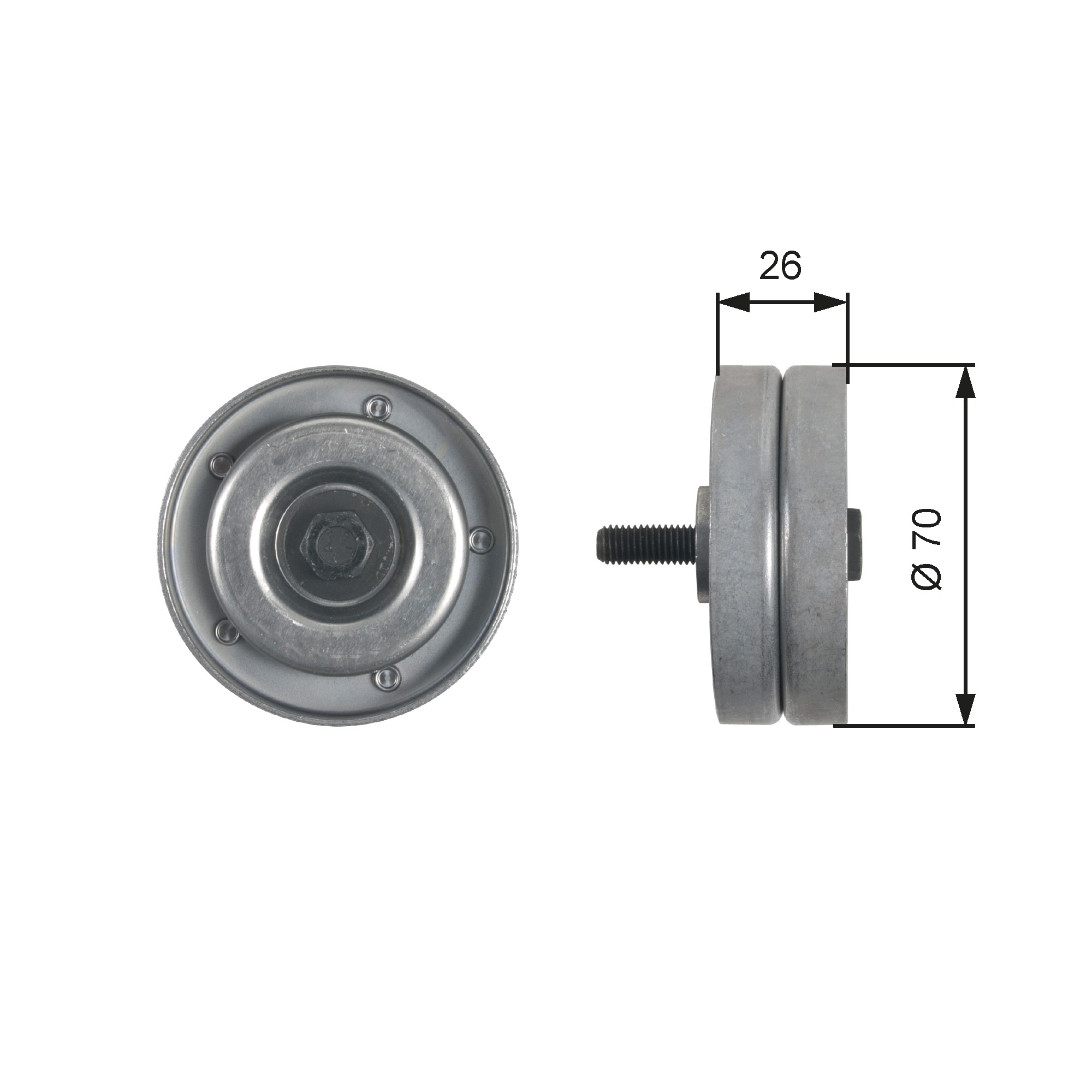 Galoppino/Guidacinghia, Cinghia Poly-V - T36466 GATES