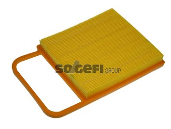 Air Filter - A1153 PURFLUX