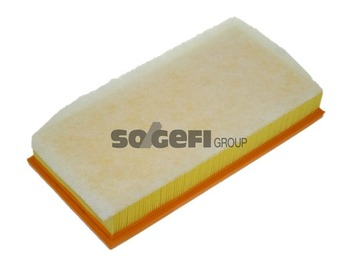 Air Filter - A1208 PURFLUX