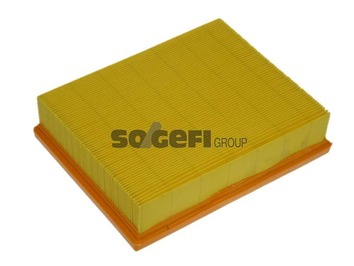 Air Filter - A1213 PURFLUX