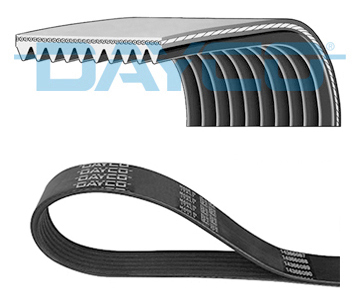 V-Ribbed Belt - 10PK1670HD DAYCO