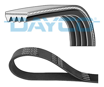 V-Ribbed Belt - 4PK668 DAYCO