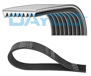 Cinghia Poly-V - 8PK1275HD DAYCO