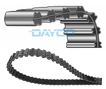 Cinghia dentata - 94591 DAYCO
