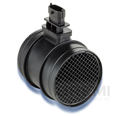 oro masės jutiklis - 30152 BREMI