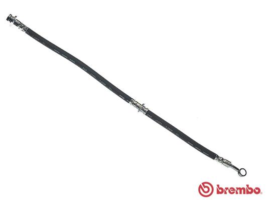 stabdžių žarnelė - T 56 050 BREMBO