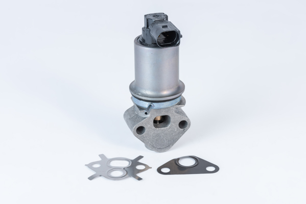EGR Valve - 710771D0 BorgWarner (Wahler)