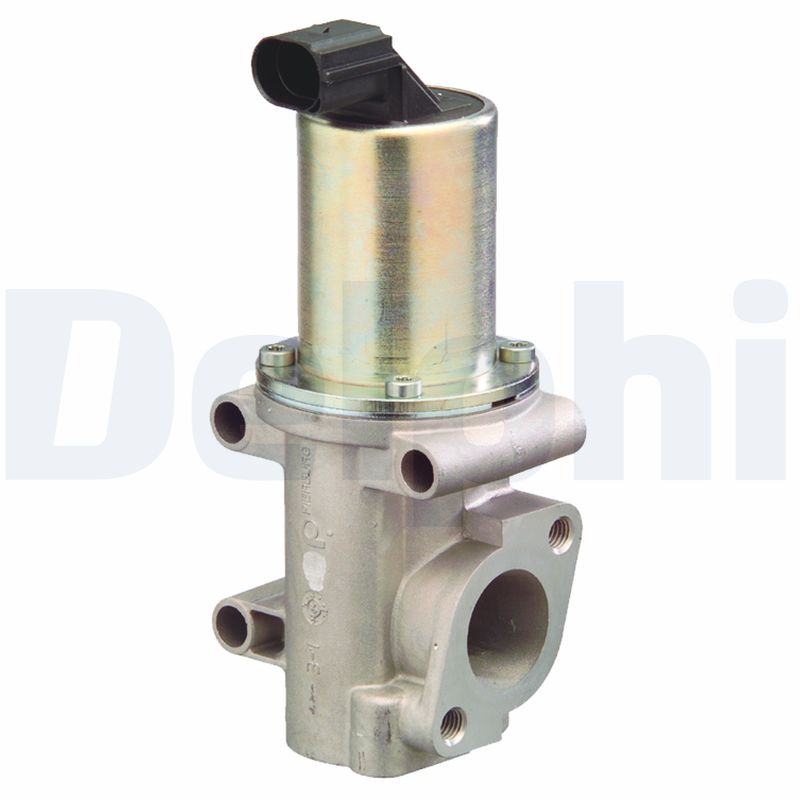 EGR Valve - EG10302-12B1 DELPHI
