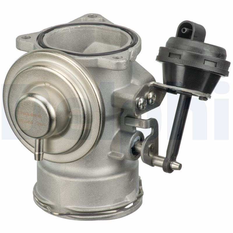 EGR Valve - EG10409-12B1 DELPHI