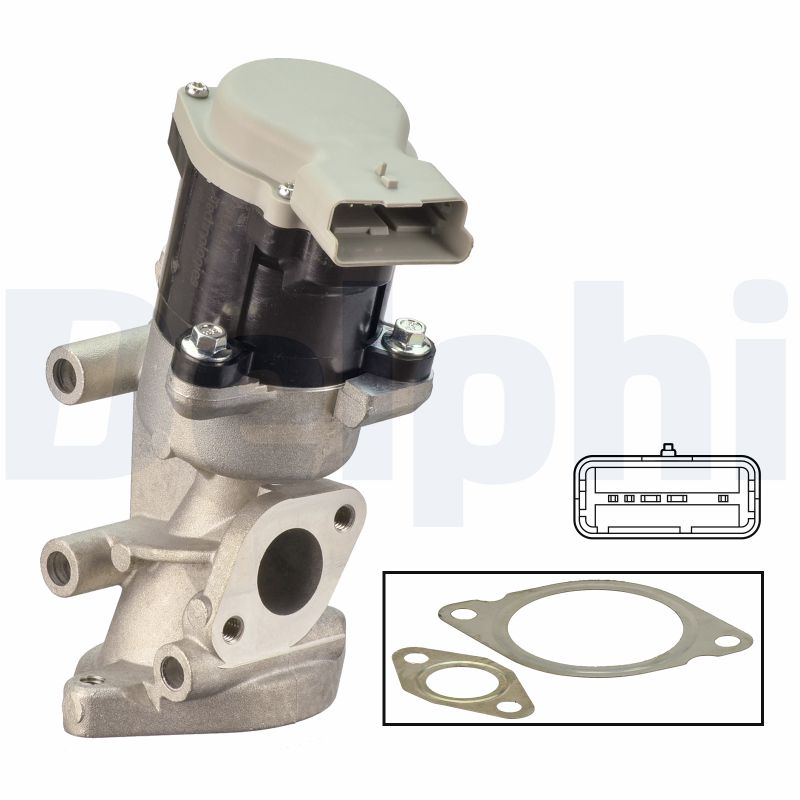 EGR Valve - EG10641-12B1 DELPHI