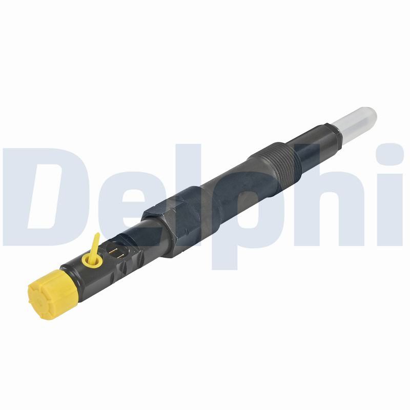 purkštukas - R01101D-12B1 DELPHI