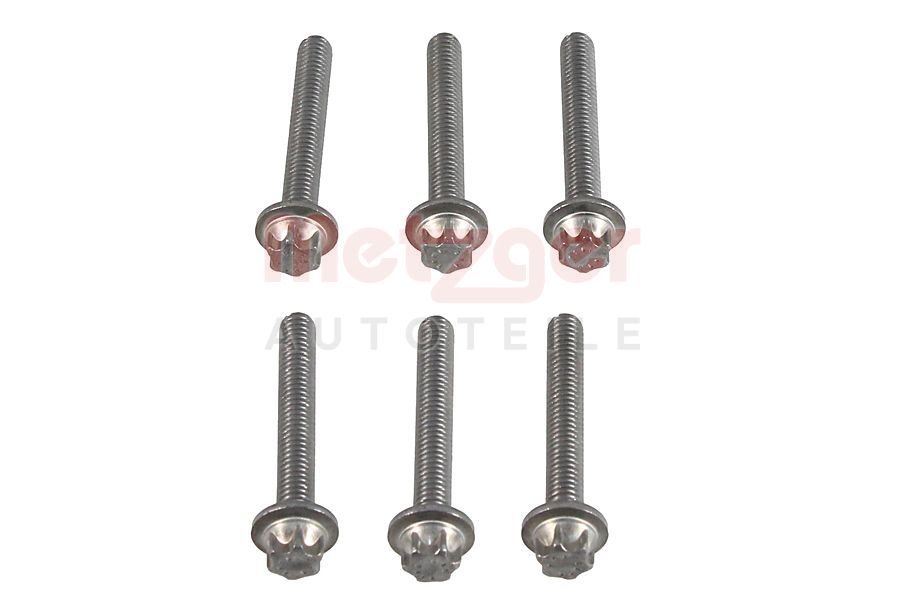 Kit di viti, coppa olio-cambio automatico - 8029033 METZGER