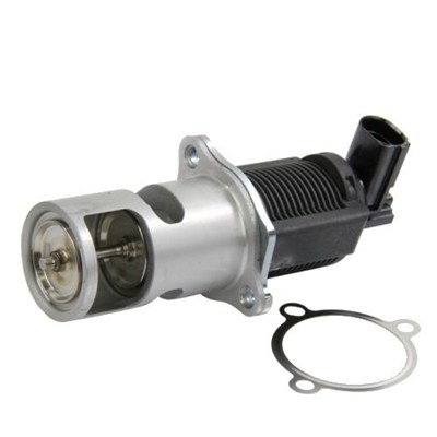 EGR Valve - 571822112009 MAGNETI MARELLI
