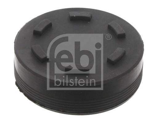 Locking Cover, camshaft - 32255 FEBI BILSTEIN