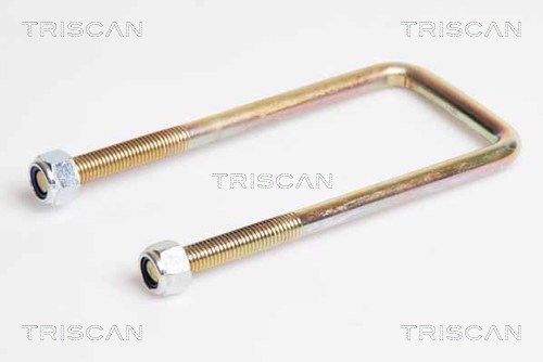 Staffa attacco molla - 8765 140004 TRISCAN