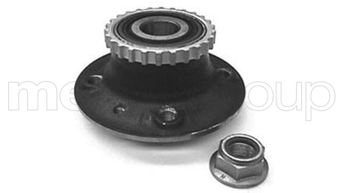 rato guolio komplektas - 19-2449 METELLI