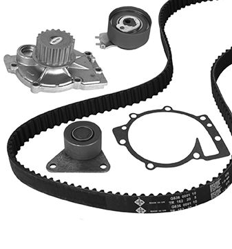 Water Pump & Timing Belt Set - 30-1019-1 METELLI