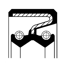 Shaft Seal, differential - 19035166B CORTECO