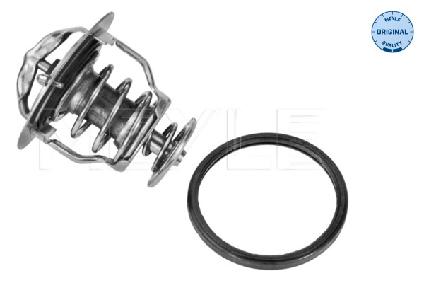 Termostato, Refrigerante - 028 282 0004 MEYLE