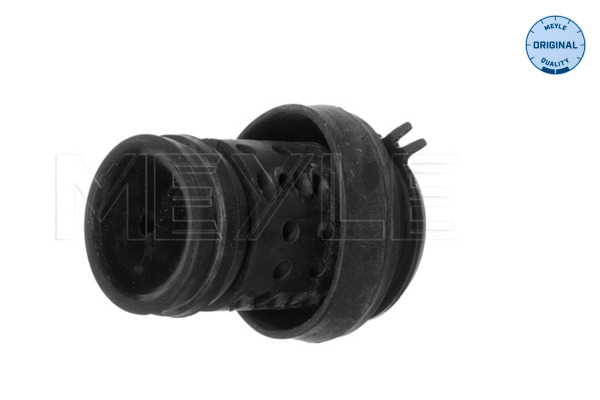 Engine Mounting - 100 199 0036 MEYLE