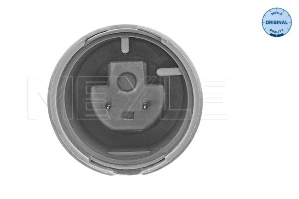 Sensor, wheel speed - 314 899 0089 MEYLE