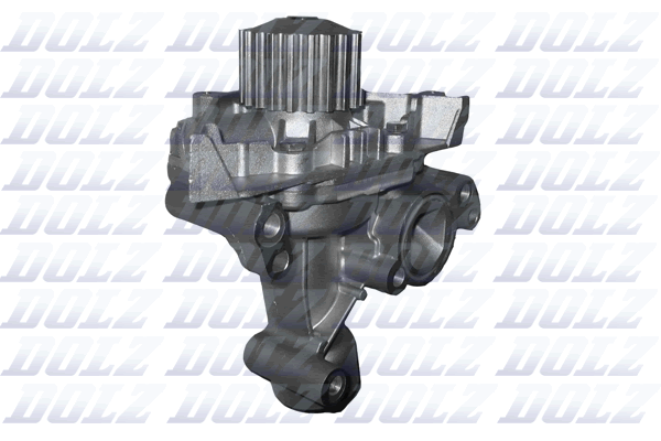 Water Pump - C138 DOLZ