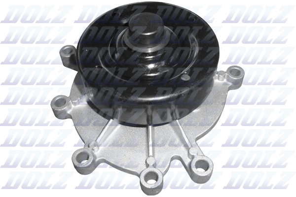 Water Pump - C146 DOLZ