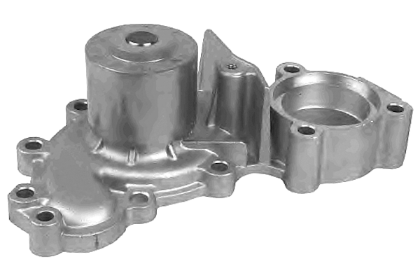 Pompa acqua - T217 DOLZ