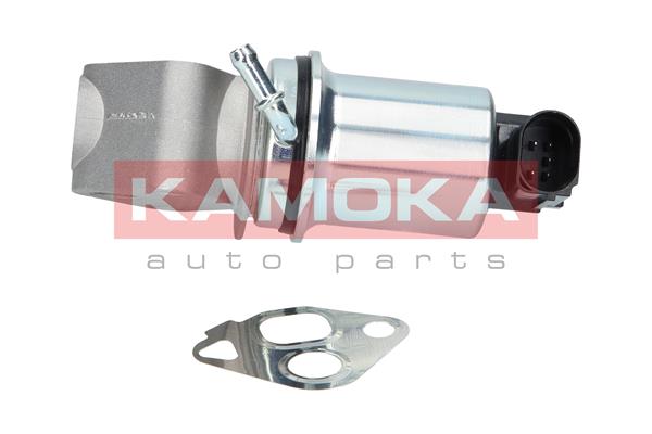 EGR Valve - 19004 KAMOKA