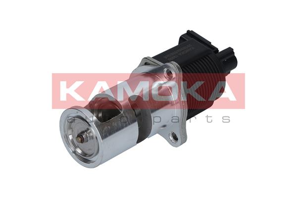 EGR Valve - 19009 KAMOKA