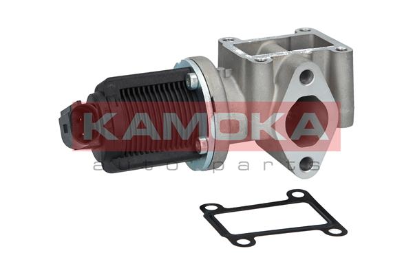 Valvola ricircolo gas scarico-EGR - 19013 KAMOKA