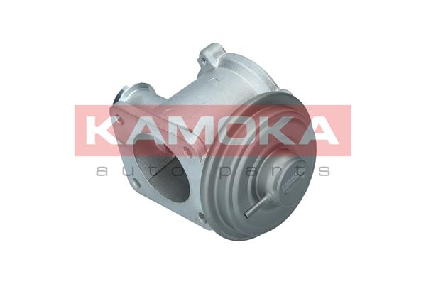 EGR Valve - 19062 KAMOKA
