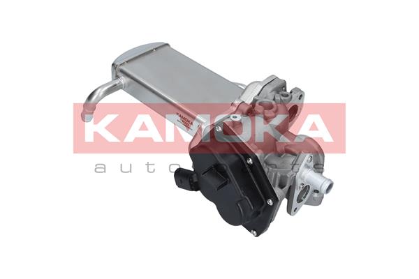 EGR Module - 19069 KAMOKA