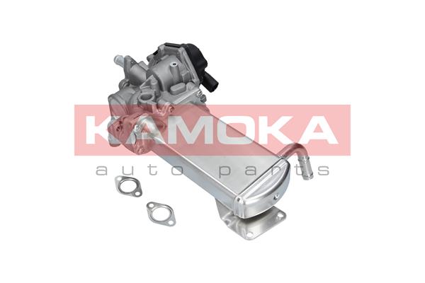 EGR Module - 19069 KAMOKA