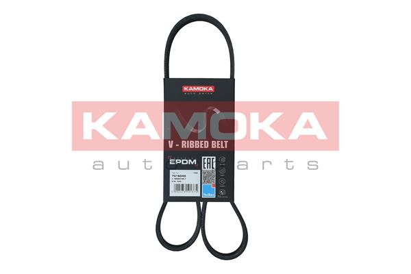 Cinghia Poly-V - 7016045 KAMOKA