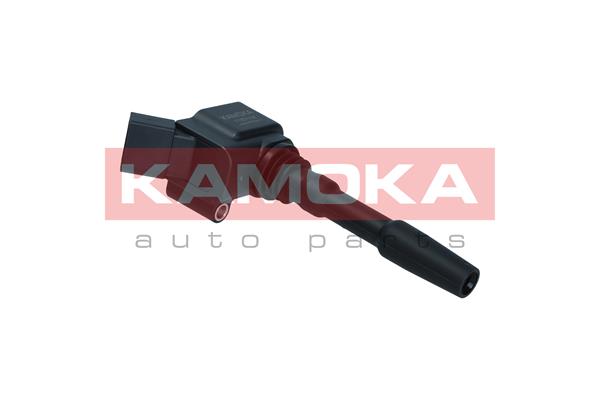 ritė, uždegimas - 7120152 KAMOKA