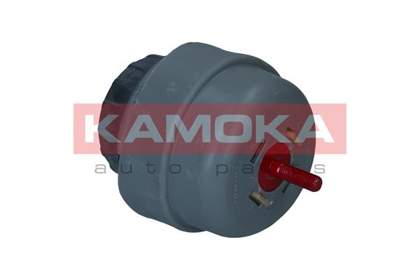 variklio montavimas - 890352 KAMOKA