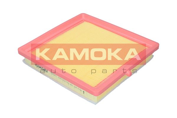Air Filter - F243901 KAMOKA