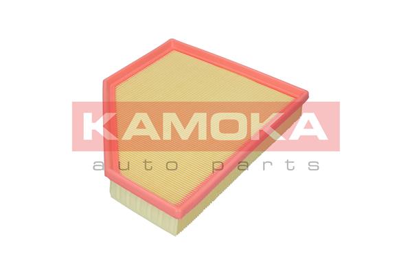 Air Filter - F255301 KAMOKA